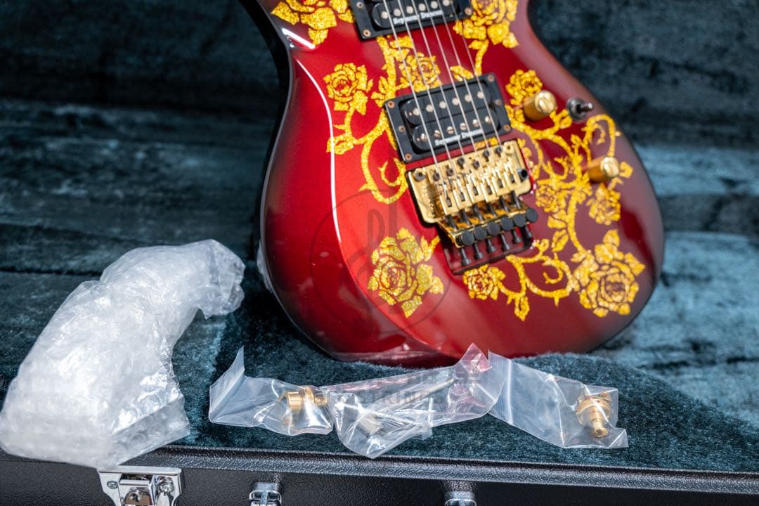 【ESP Japan】Maiden HIZAKI