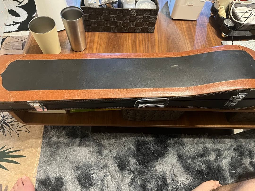 二胡 敦煌牌 上海民族楽器 胡弓 南胡 弦楽器 ハードケース付 中国