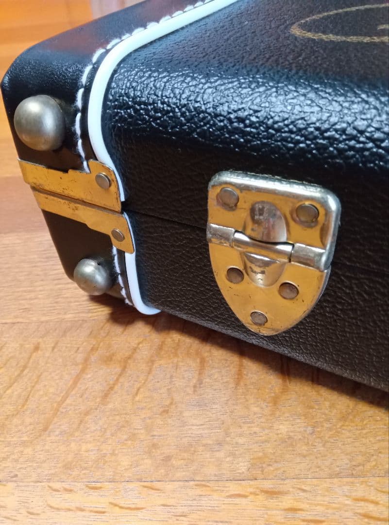 ゴダンギターケース