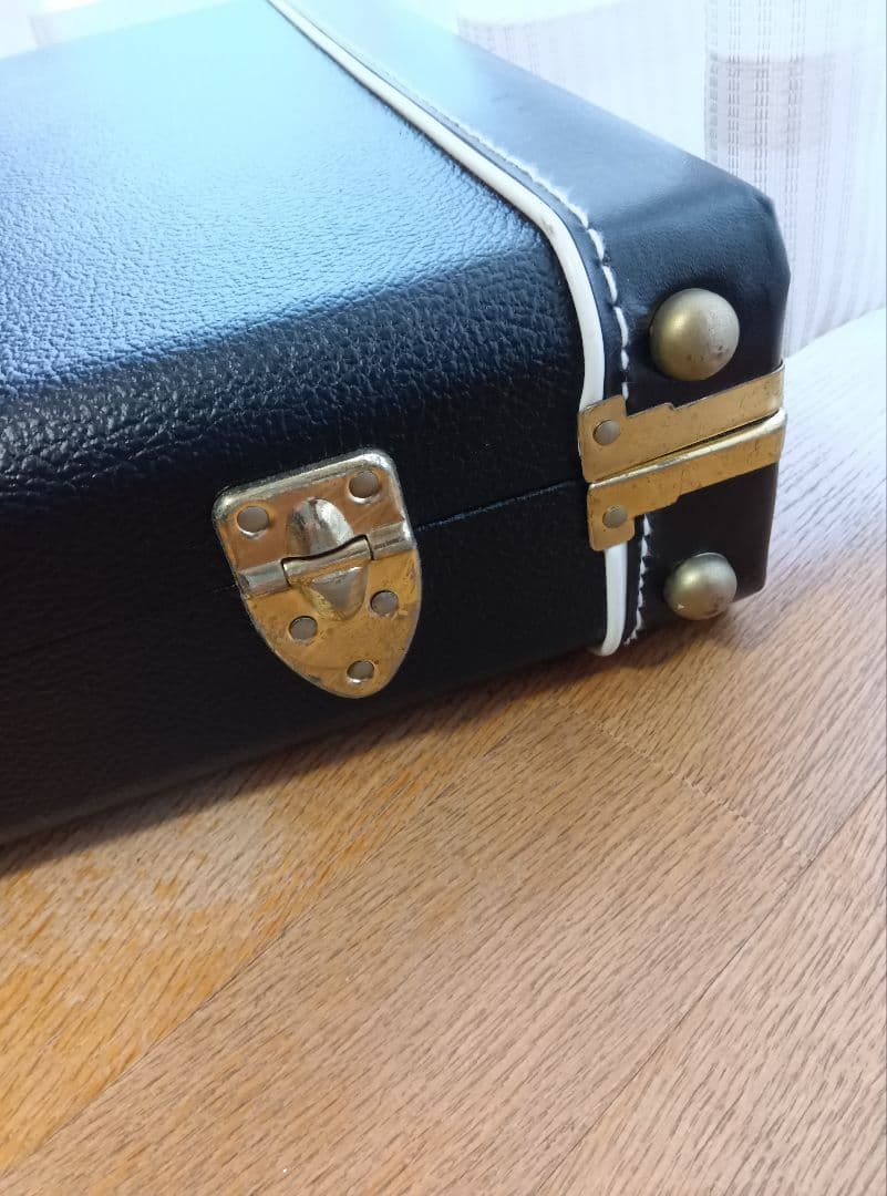 ゴダンギターケース