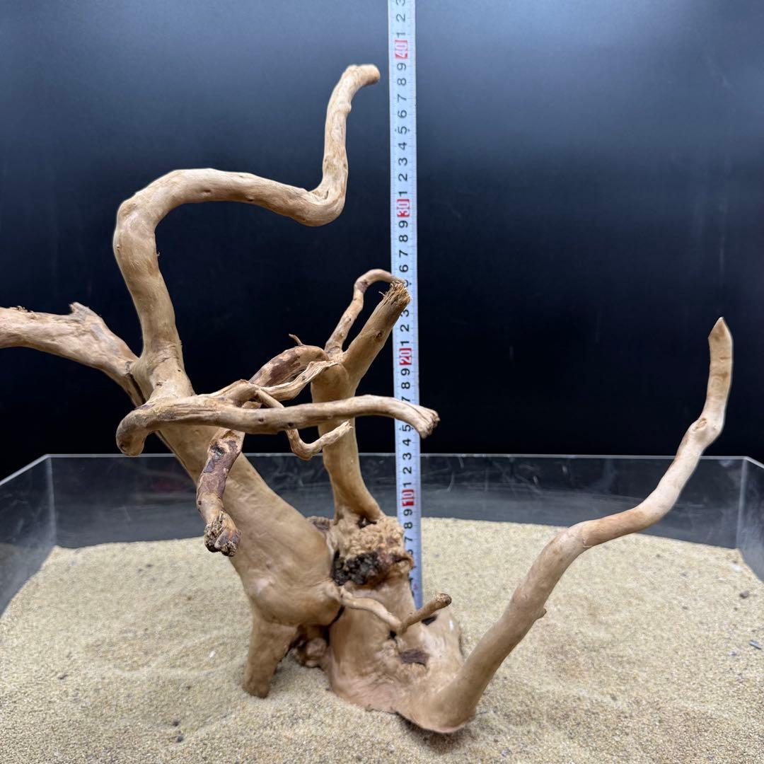 MDW-7164 ブランチウッド2本セット 流木 枝流木 アクアリウム