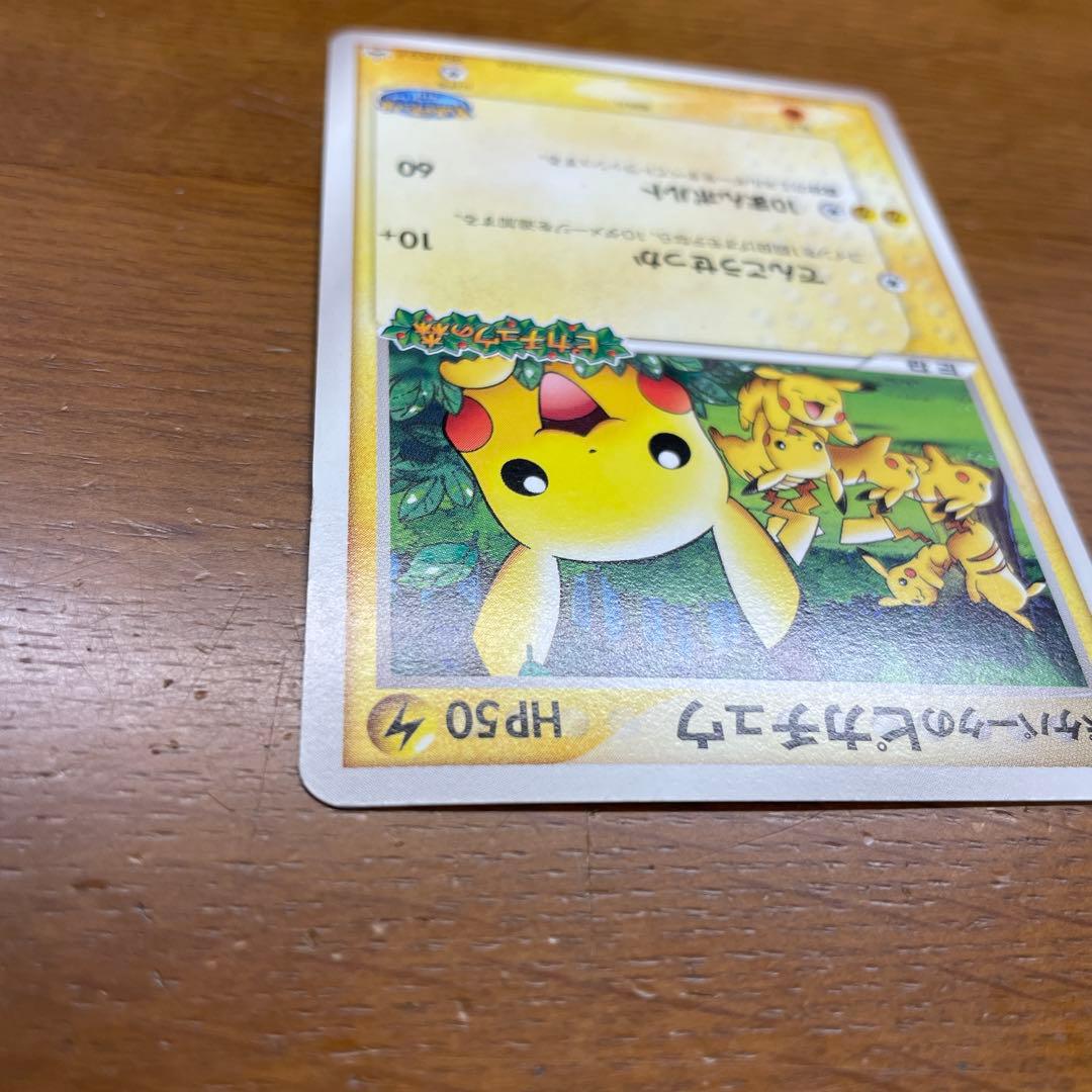 ポケパークのピカチュウ ピカチュウの森