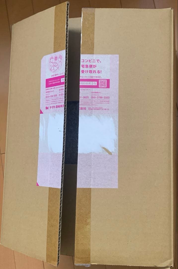 【新品未開封】ライザのアトリエ2 ライザ 黒水着日焼けver. 公式特典付き