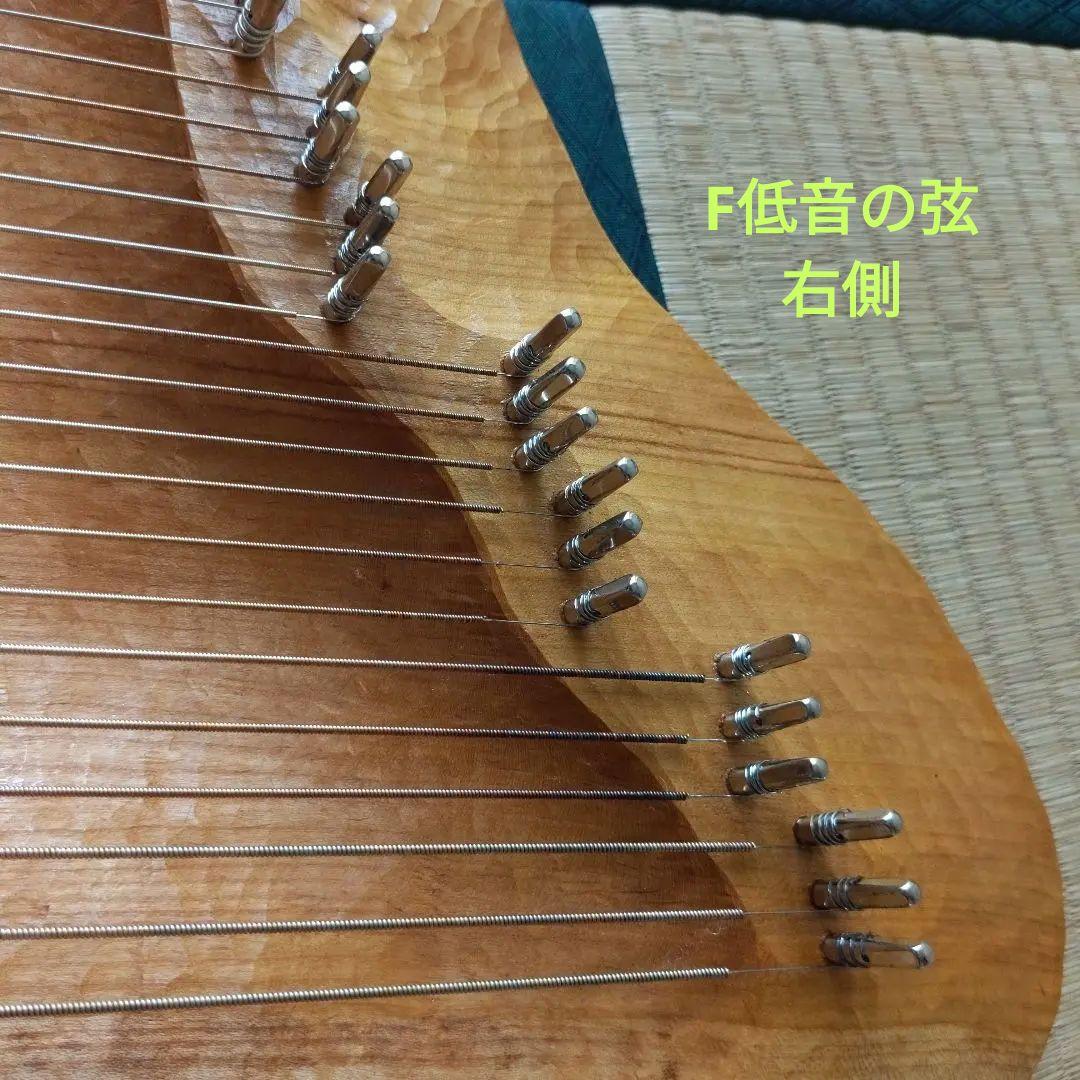 タオライアー 専用ケース付き 2014年製