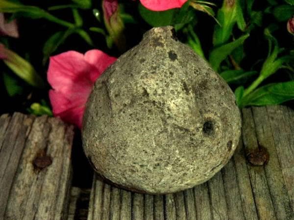 ♥１７世紀　江戸初期　古唐津　水滴 　陶片　骨董　古玩