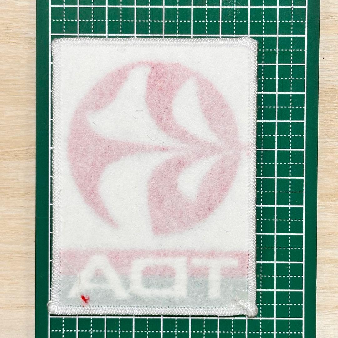 TDA 東亜国内航空 ヴィンテージ 刺繍 ロゴ ワッペン パッチ 2枚セット