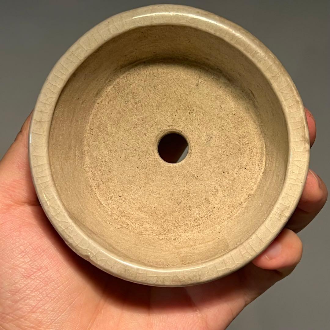 812.佐野大助 赤繪模様紋兽足丸 盆栽鉢 模木鉢 9.7*