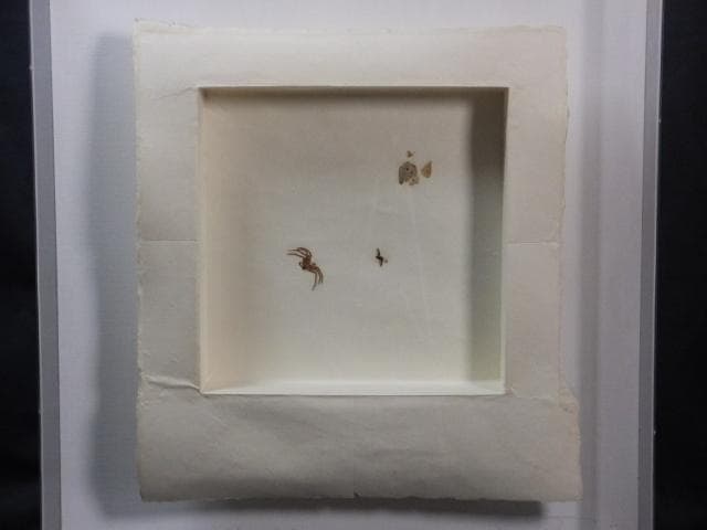 現代美術 井田照一　直筆サイン 作品証明書『垂直と地平線の間-昆虫』1205G