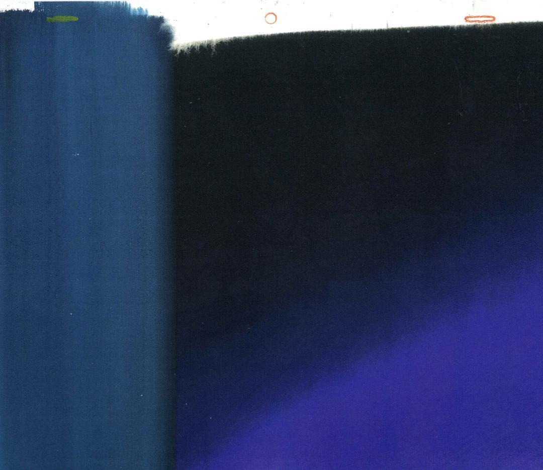 極黒の翼バルキサス レムネア セル画