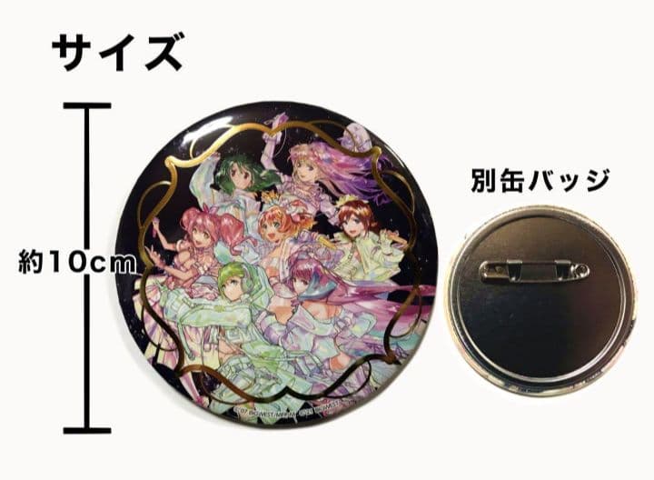 マクロス　超時空　フェスティバル BIG缶バッジ　レア　集合　アンコール