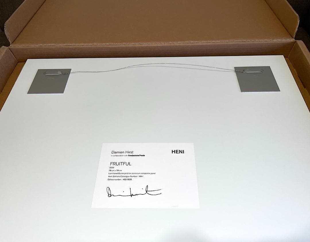 【Fruitful Large】ダミアン ハースト ラミネート アルミパネル