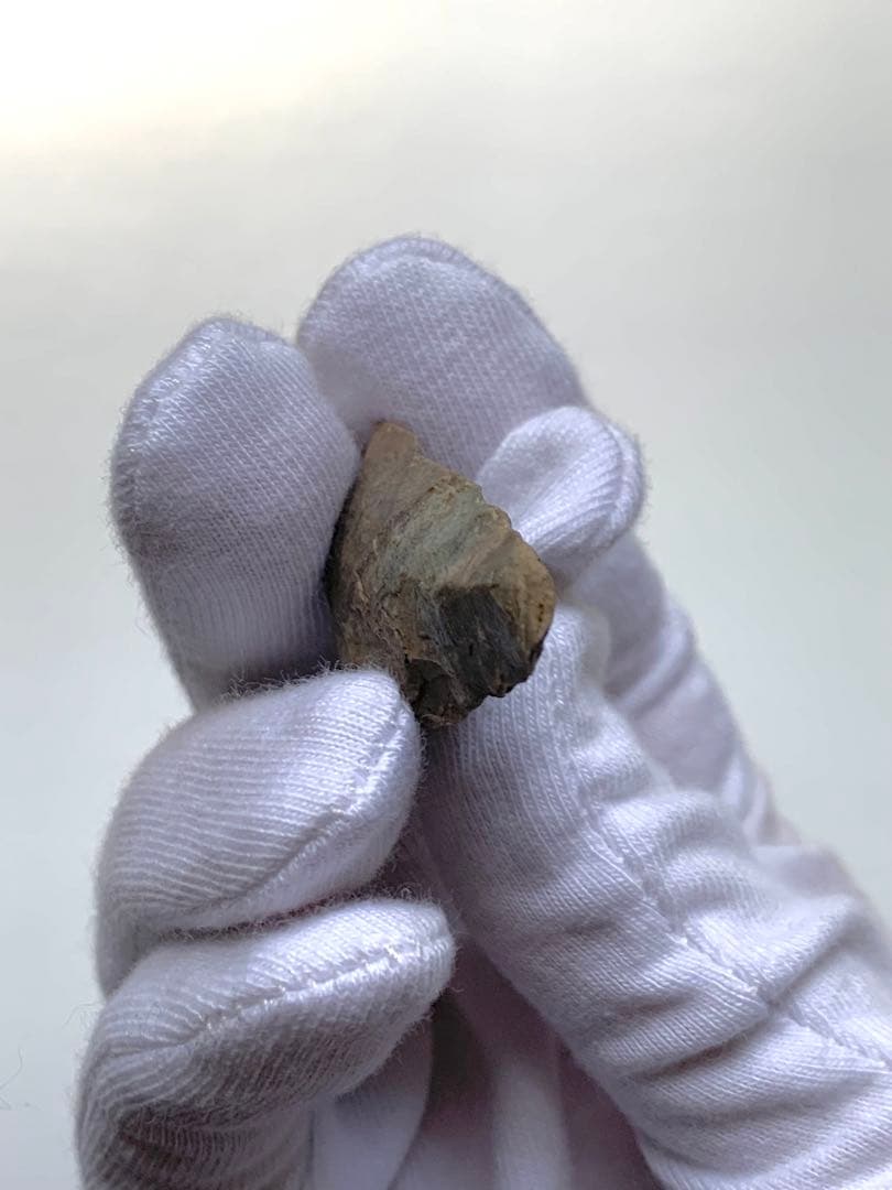 旧石器時代 矢尻 打製石器 出土 紀元前 尖頭器 土器 勾玉 石斧 化石