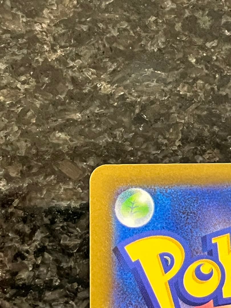 メガカイリュー-ex ポケモンカード SAR MA 2枚セット