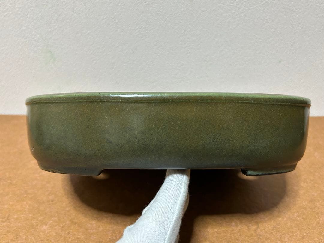 鴻陽　盆栽鉢　小品盆栽　山野草