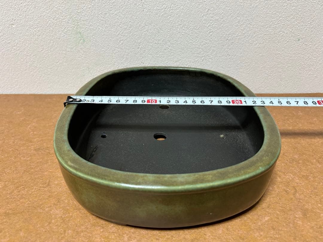 鴻陽　盆栽鉢　小品盆栽　山野草