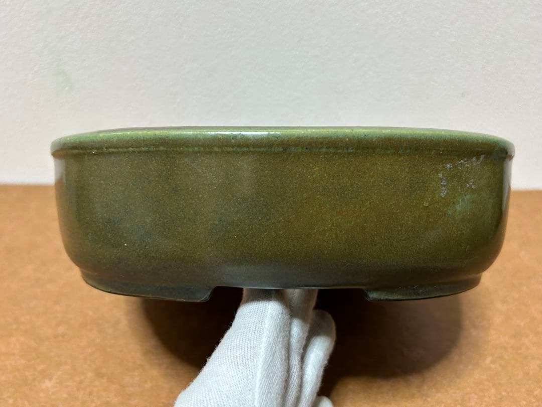 鴻陽　盆栽鉢　小品盆栽　山野草