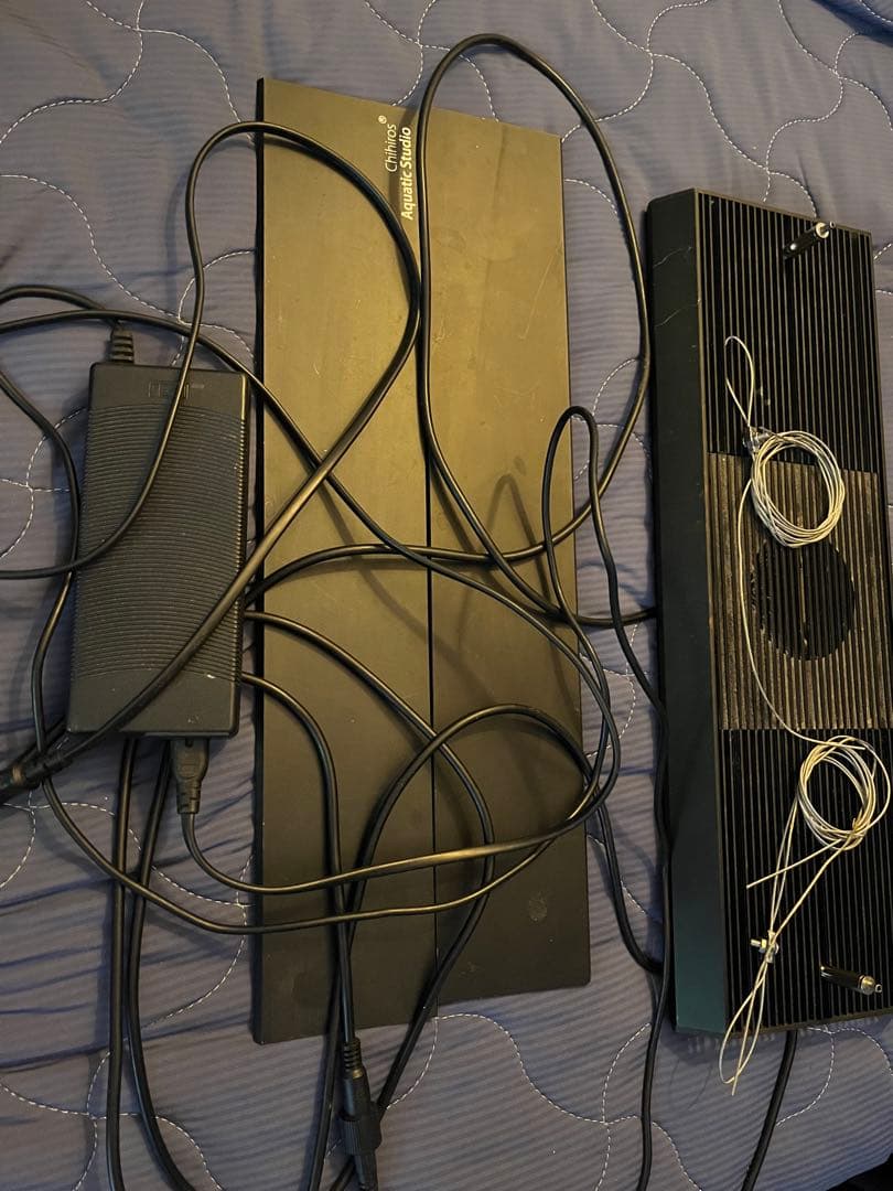 くまぞうchihilos RGB VIVID II