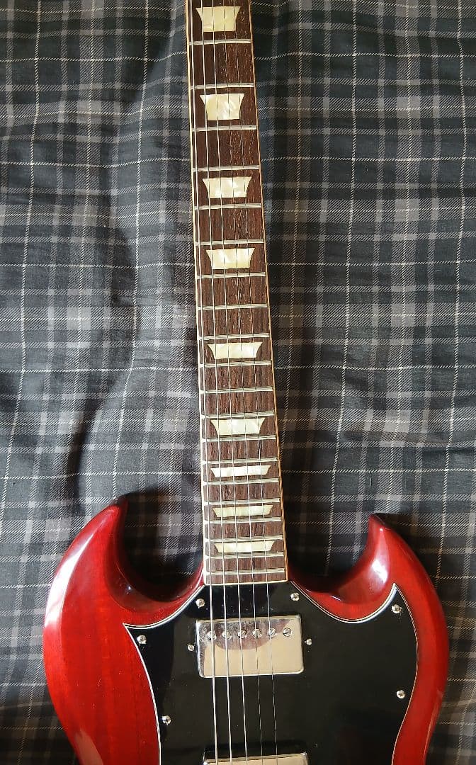 BurnySG-75AY 198's ''Abgus Young'' モデルSG - メルカリ