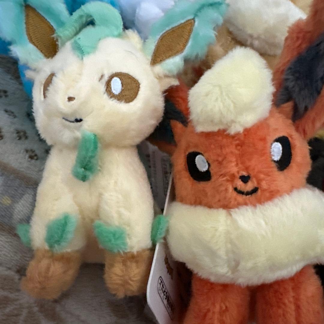 タグ付き ポケモンセンター カラビナ付きマスコット ぬいぐるみ ブイズセット