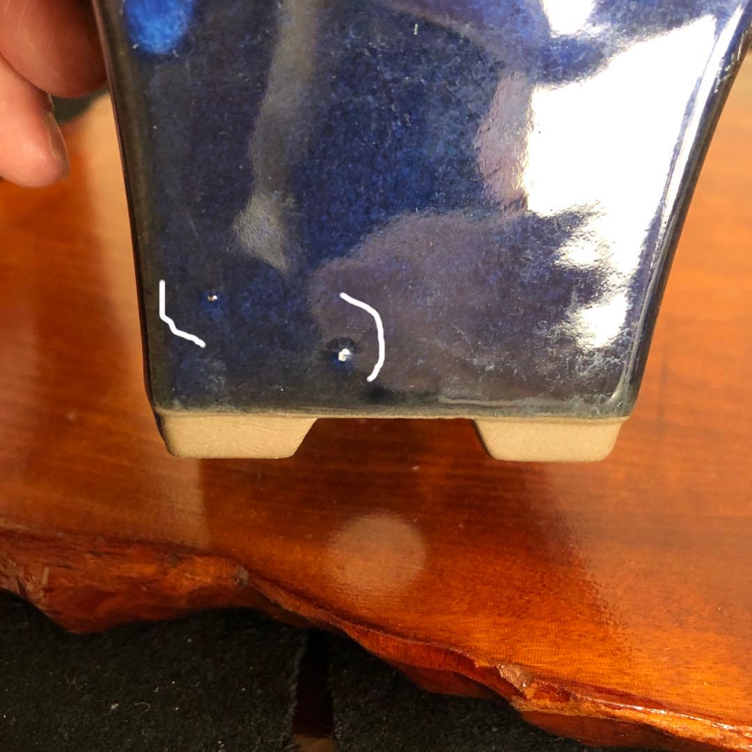 盆栽　山野草　サボテン　多肉植物鉢　4セット(11個)未使用品その他