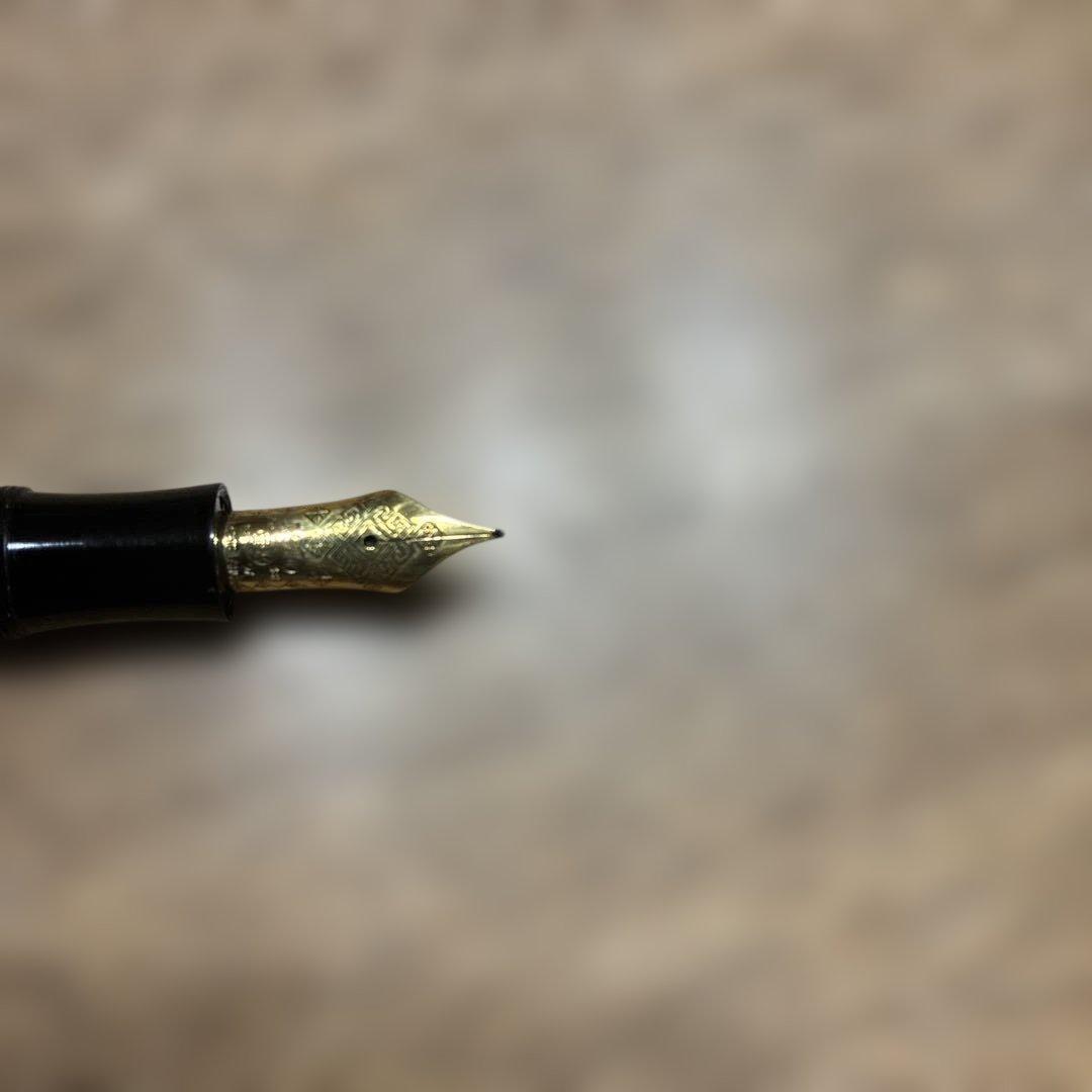 モンブラン作家シリーズ ドストエフスキー万年筆 Mニブ