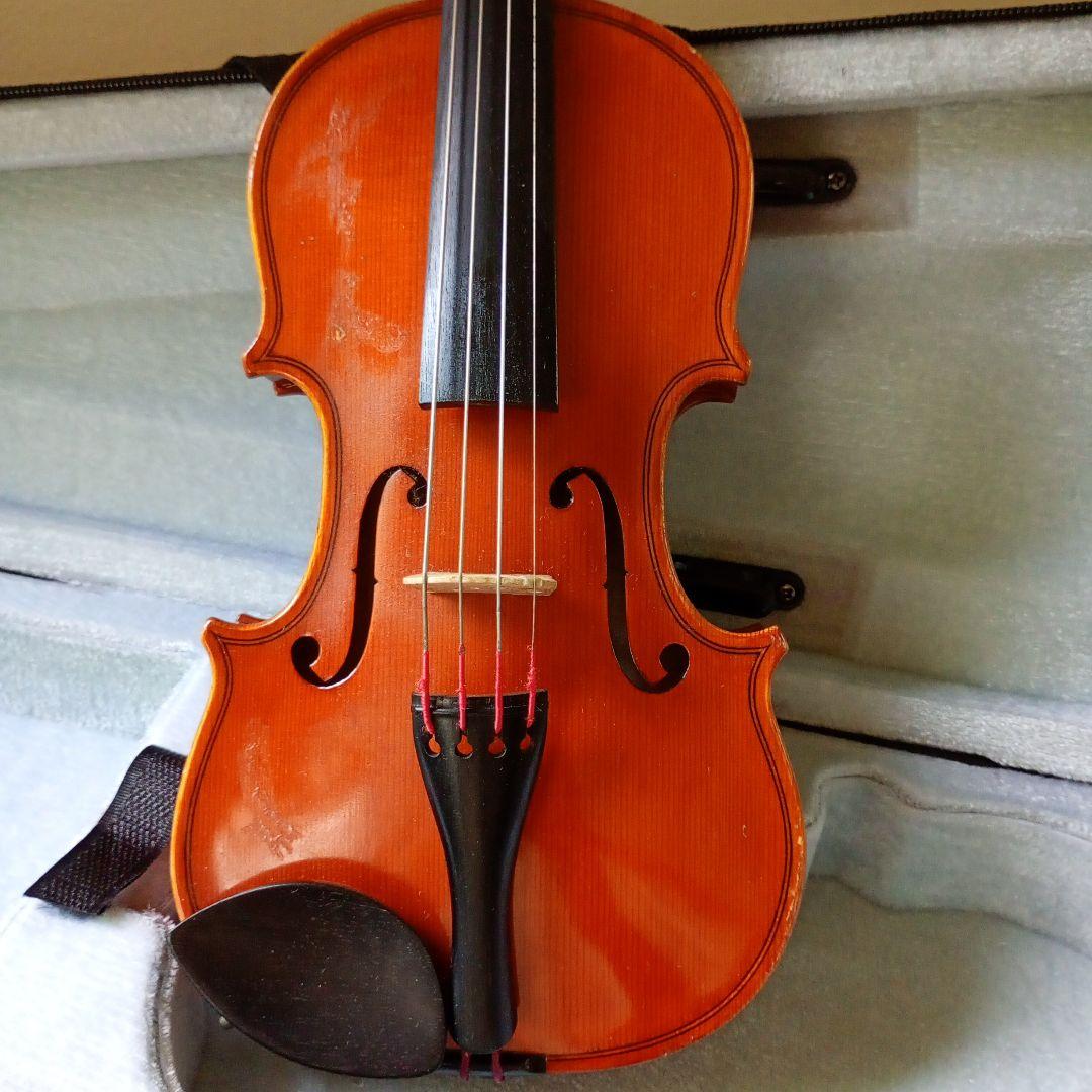 スズキ　310　分数　1/10　2019年　弓　杉藤　SUGITO