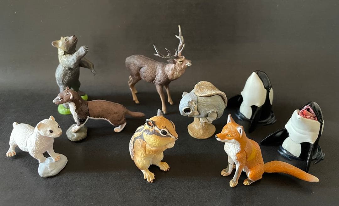 カプセルＱ　日本の動物コレクションⅥ 北海道 カプセルQミュージアム 日本の動物コレクションⅥ 北海道 蝦夷地の