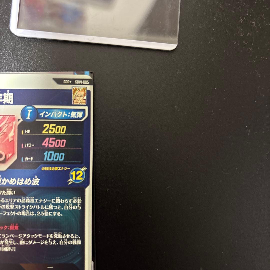 SDV1-005 パラレル 孫悟飯少年期