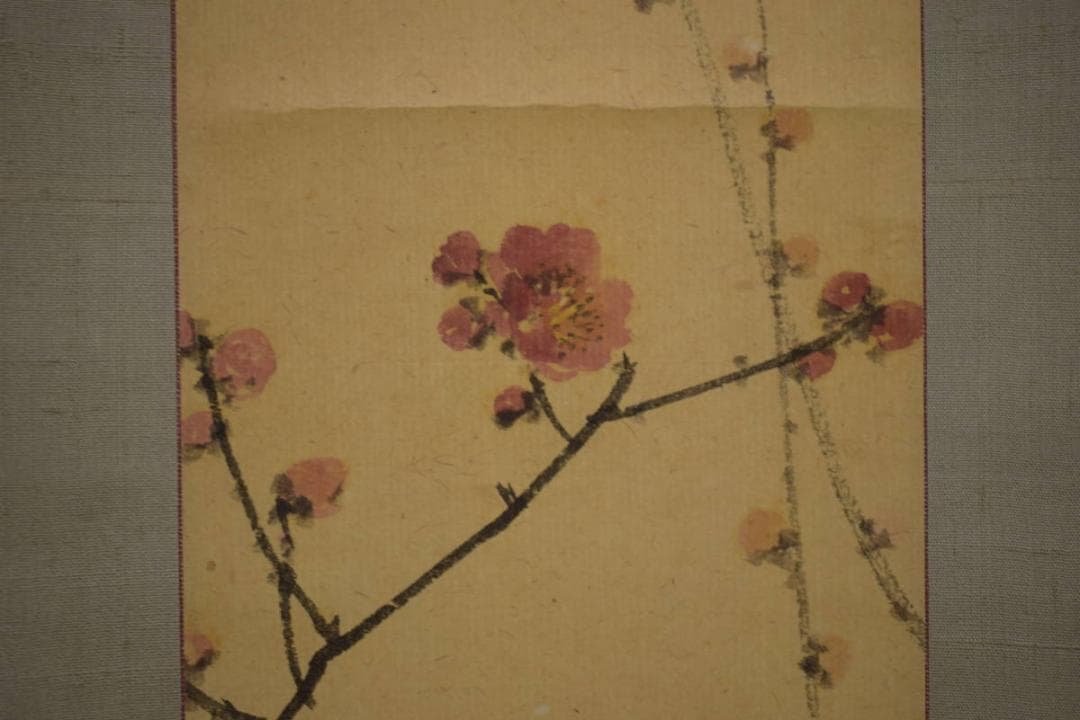 真作/備後福山生/羽田桂舟/紅梅雀図/布袋屋掛軸HI-680