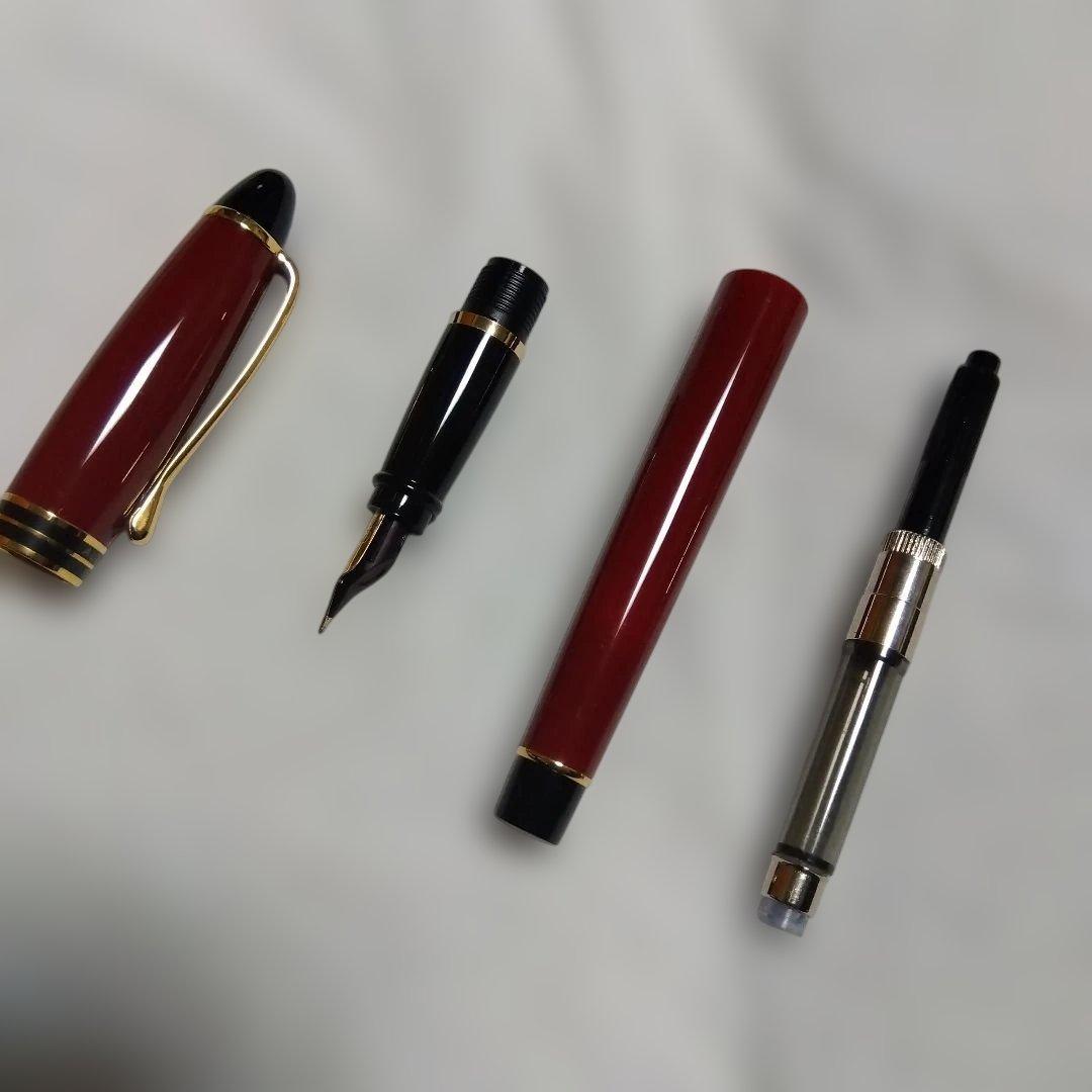 apollosさま】AURORA 万年筆 【専用ケース付き】 AURORA - AURORA