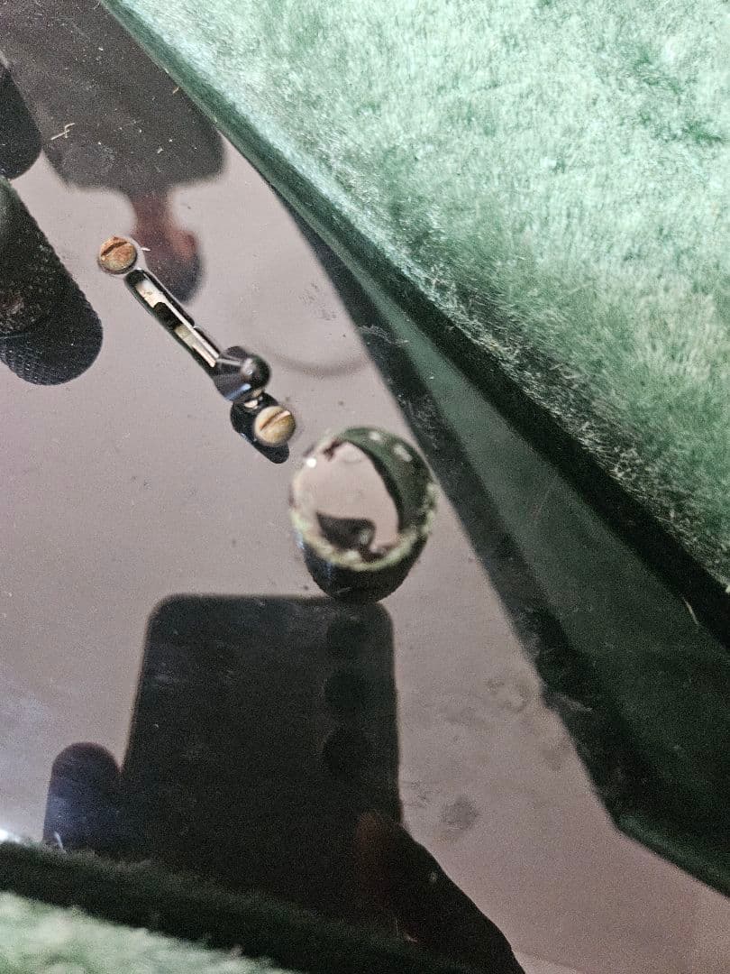 Jackson キングスブイ ハードケース付き