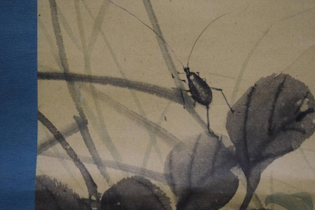 真作/羽田桂舟/秋月葛花図/桐共箱付/布袋屋掛軸HH-