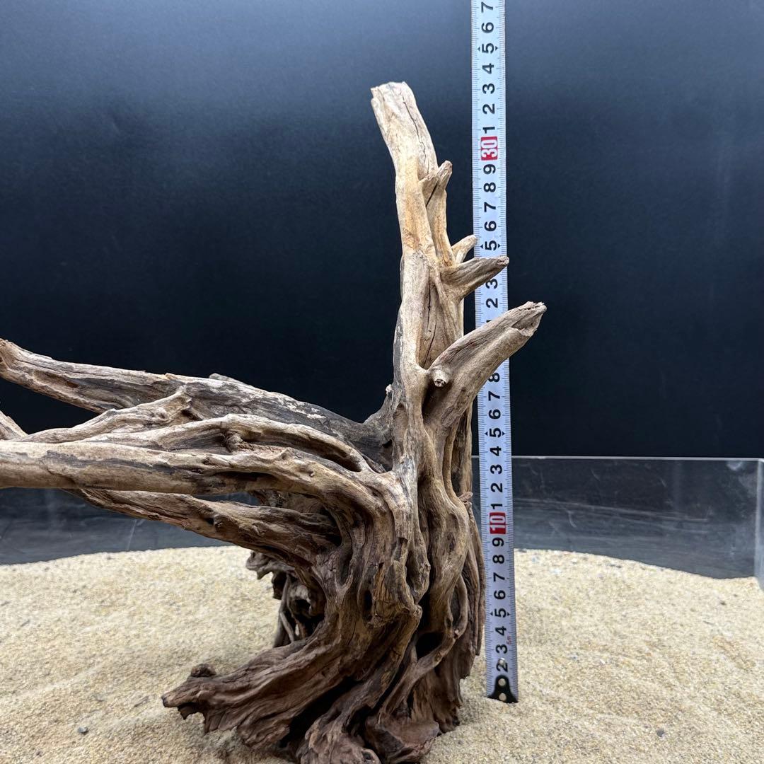 MSRW-6958 特大天然流木1点物 スリムウッド アクアリウム