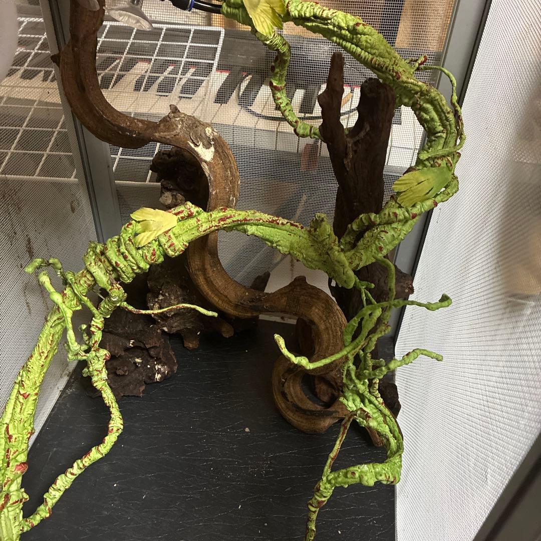 T*A様 爬虫類ケージ ミストシャワーセット