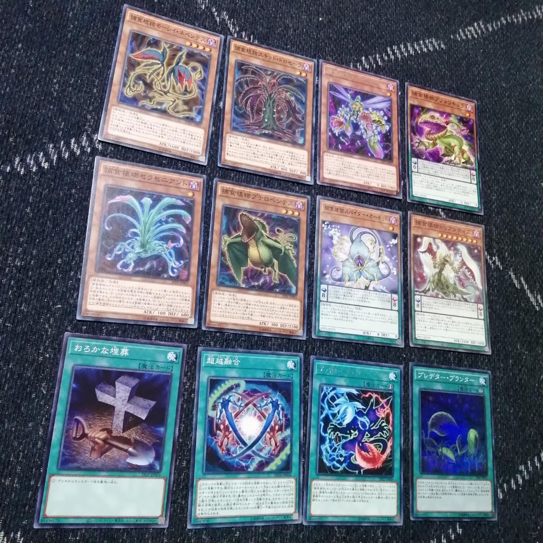 遊戯王　デッキ　捕食植物　プレデター・プランツ　スターヴ　[04570]