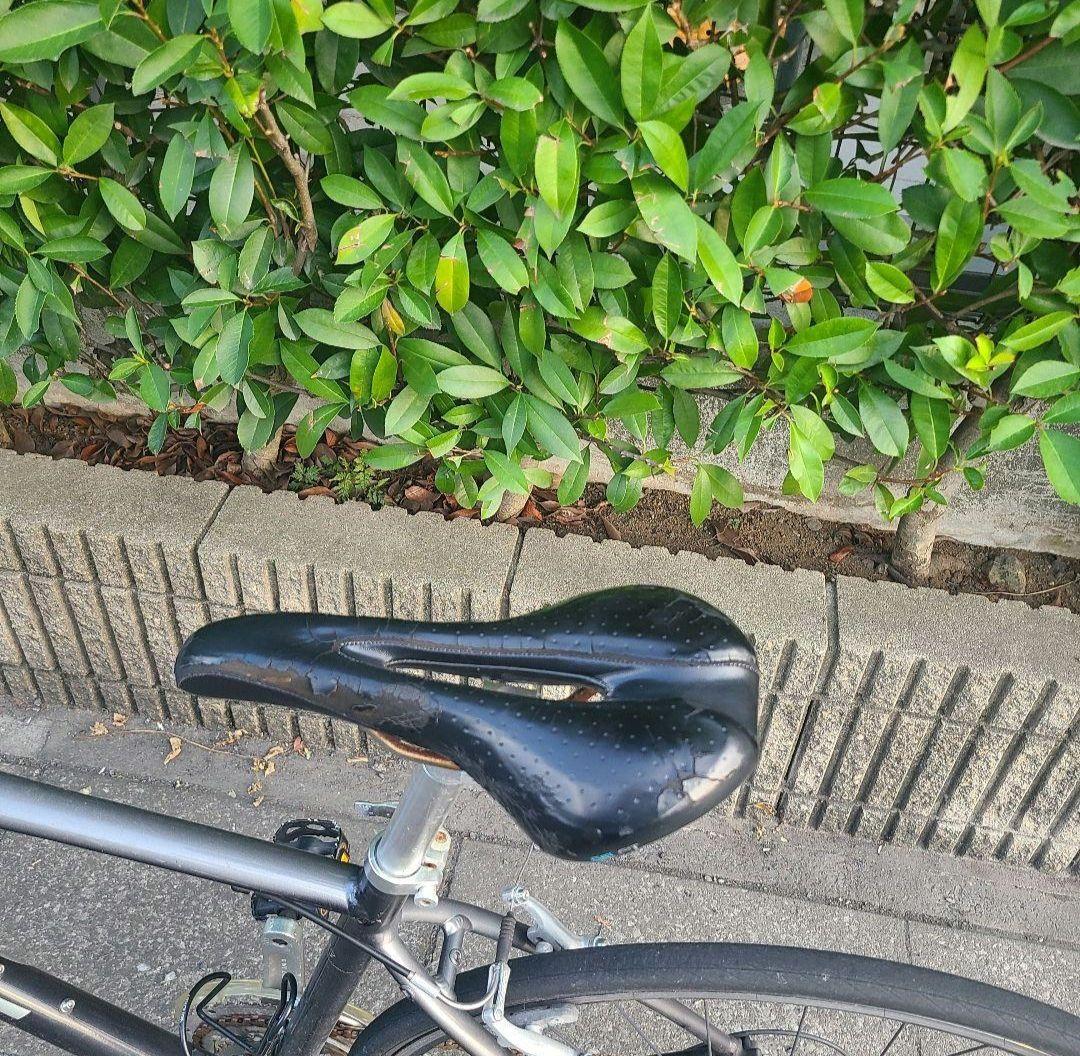 c*g様 【ジャンク品】giant　escape Mサイズ