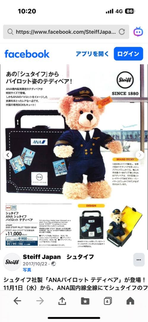 シュタイフテディベア新品ANAパイロットトランク付Fynn