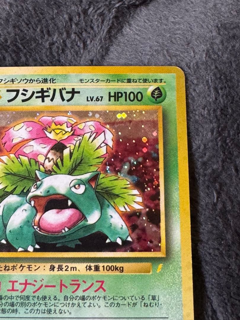 旧裏　ポケモンカード　イントロパック　フシギバナ