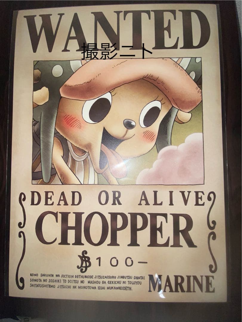 ワンピース　海軍公式手配書　麦わらの一味9枚　麦わらストア