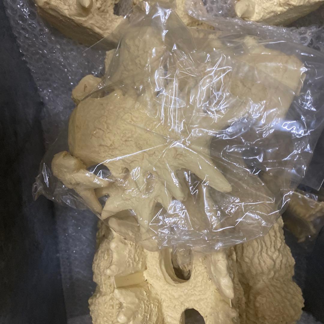 ゴジラ★ガレージキット★レジン★モスゴジ★M1号★限定数50体★全高,約50cm