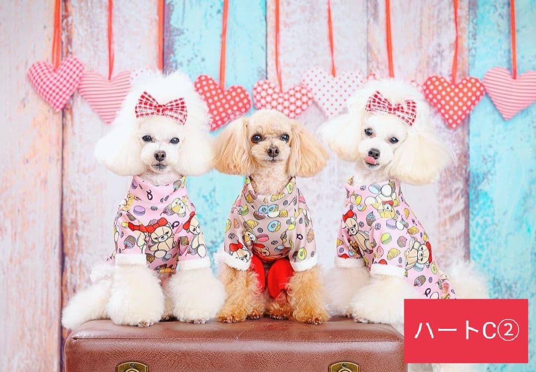 背景布×10枚+2 ペット撮影用ブース トリミングチョーカー販売中 ペット