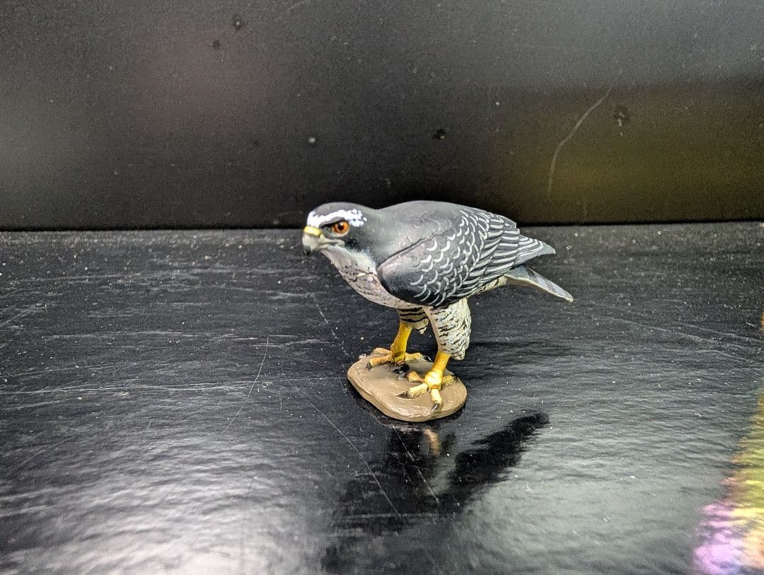 チョコQ 　日本の動物7 全23種＋シークレット3種＋シークレット＋1