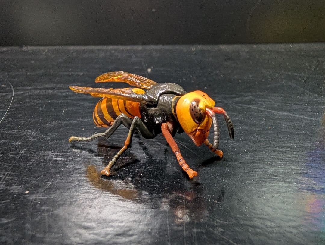 チョコQ 　日本の動物7 全23種＋シークレット3種＋シークレット＋1