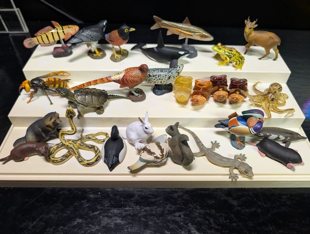 チョコQ 　日本の動物7 全23種＋シークレット3種＋シークレット＋1