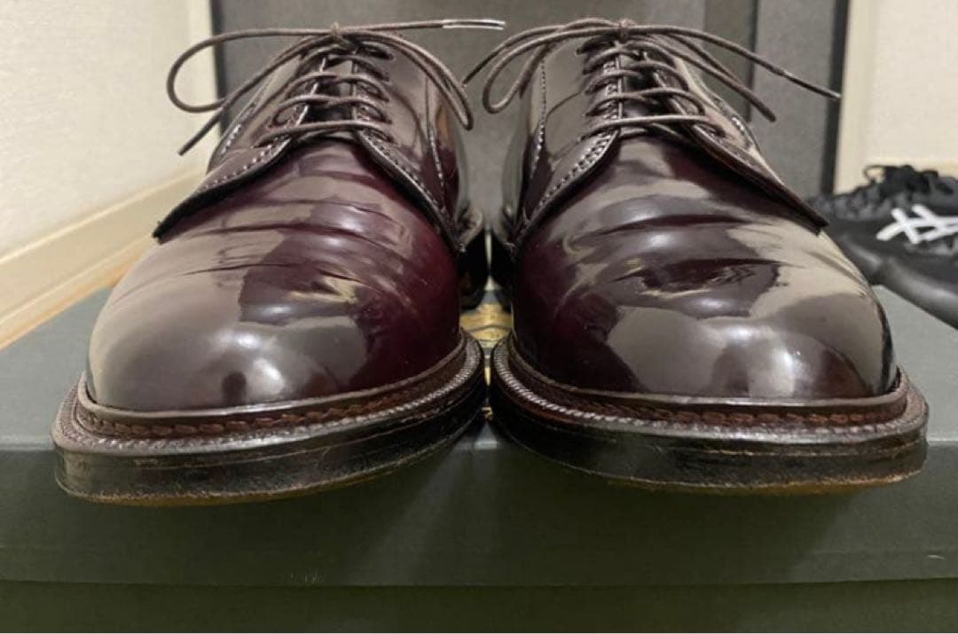 Alden 990 コードバン 8 1/2 D