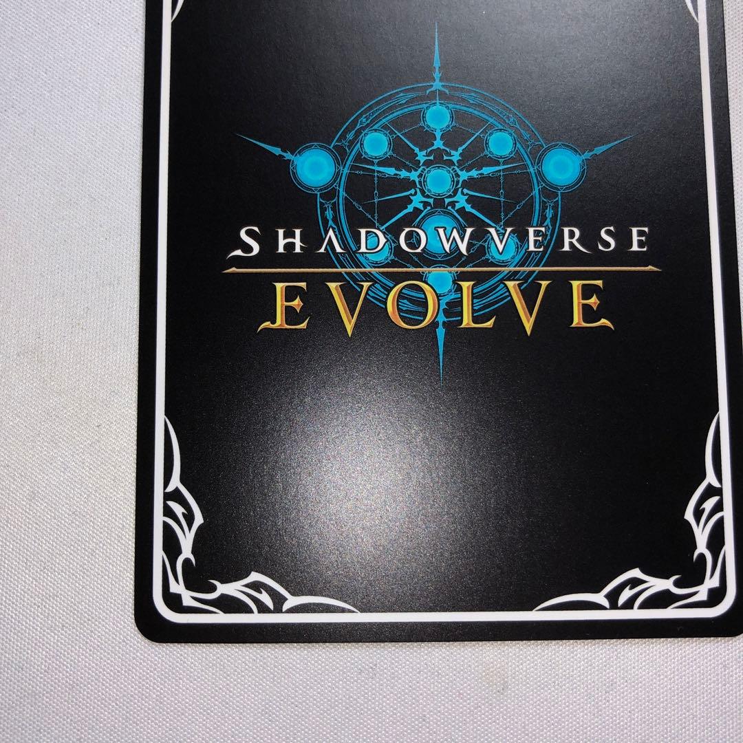 ヒシミラクル ssp サイン エボルヴ