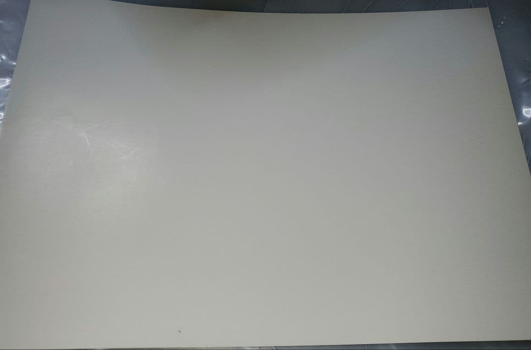 ガゼット the GazettE reila 特典 直筆サイン ポートレート - メルカリ