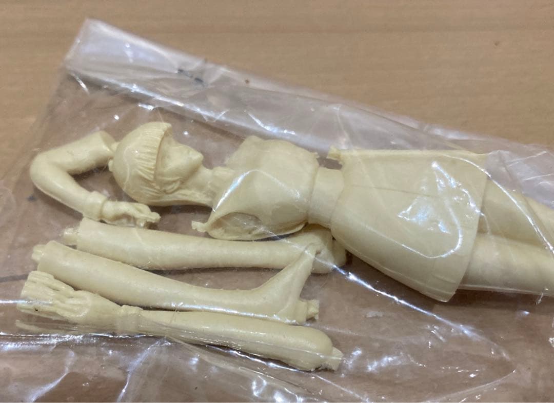 未組立】海洋堂 FSS 1/15 ファティマ ウリクル ガレージキ