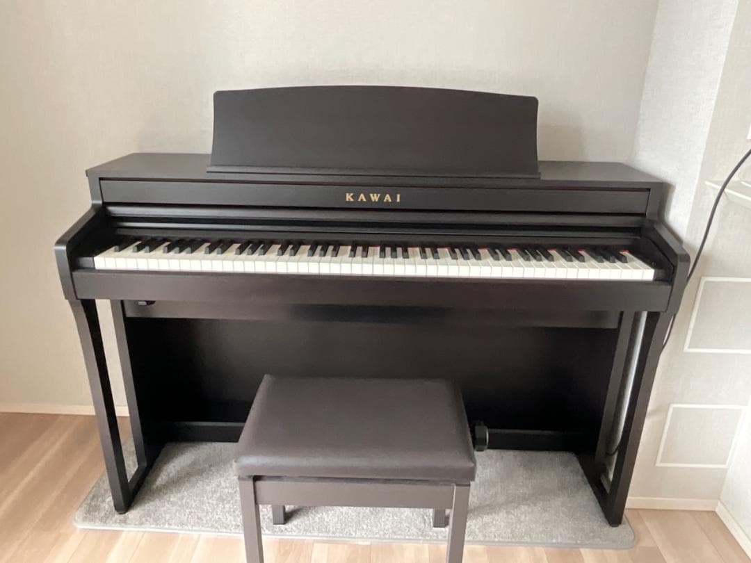 ca49 kawai」の人気商品一覧 | 安い商品を通販サイトから探す - 価格.com