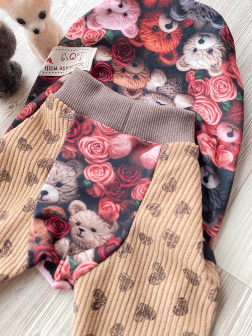 犬服 ラグラン(M) ꒡̈⃝Lily꒡̈⃝ハンドメイド - メルカリ